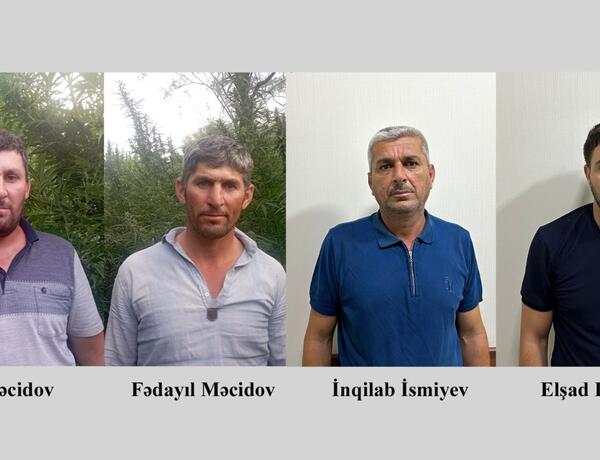 Fermada çətənə kolları yetişdirən dörd nəfər saxlanıldı