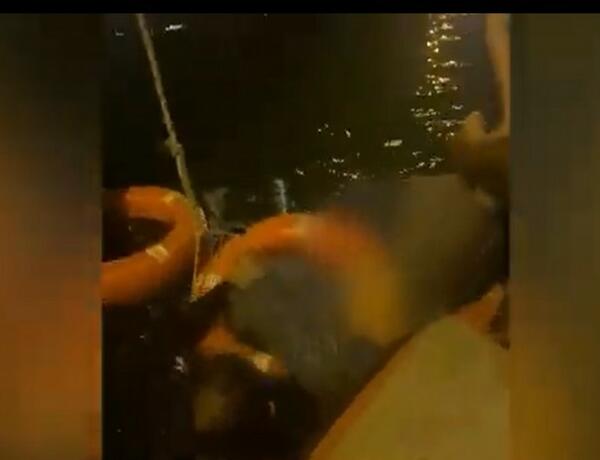 Bulvarda batma təhlükəsi ilə üzləşən qadın xilas edilib –