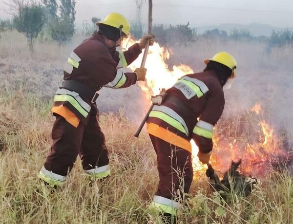 Naxçıvanda taxıl sahələrində yanğınlar oldu –