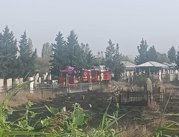Tovuzda qəbiristanlıq ərazisində yanğın baş verdi –