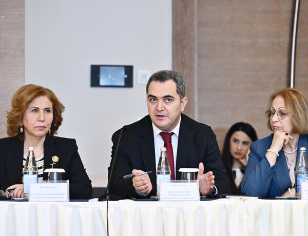 Sənan Hacıyev: “Məişət zorakılığı ilə mübarizədə hakimlərin və vəkillərin üzərinə böyük məsuliyyət düşür”