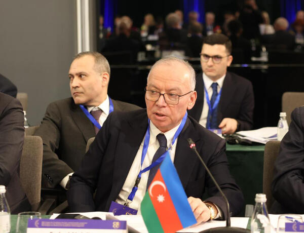 Konstitusiya Məhkəməsinin sədri Tiranada beynəlxalq konfransda iştirak etdi –