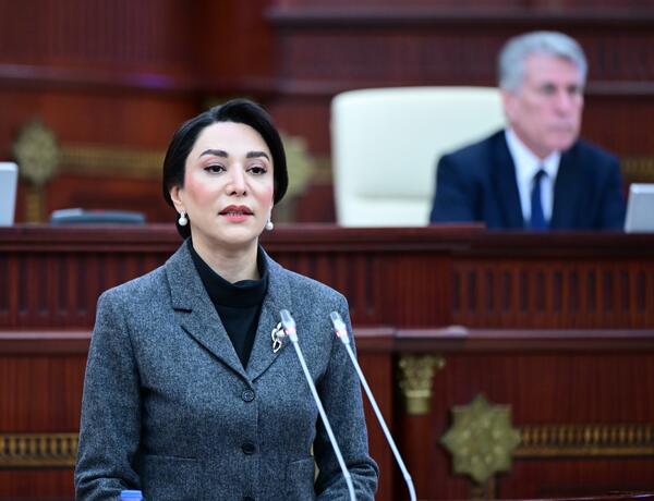 Səbinə Əliyeva: “Özünüməşğulluq proqramı ilə bağlı qanunvericilik təkmilləşdirilməlidir”