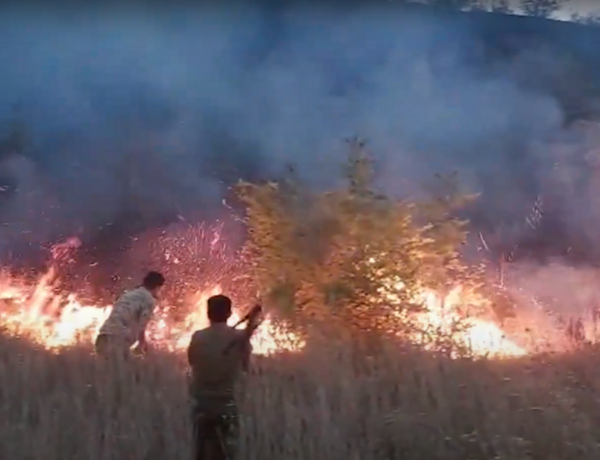 FHN: Ağdərə və Goranboy istiqamətində yanğınla mübarizə davam edir –