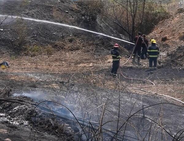 FHN və DİN yanğın təhlükəsizliyi ilə bağlı birgə çağırış edib –