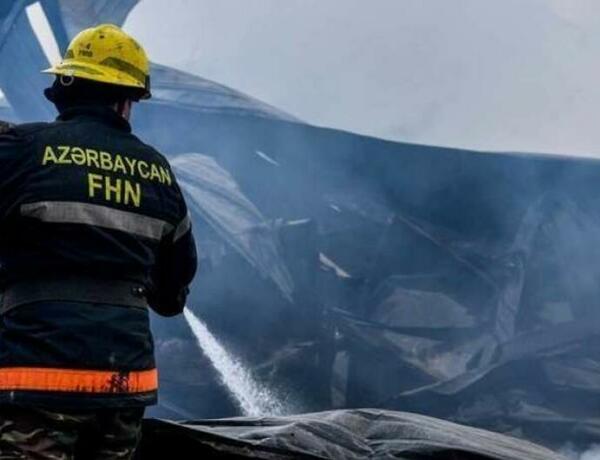 Qızılağac Milli Parkında yanğın söndürüldü –