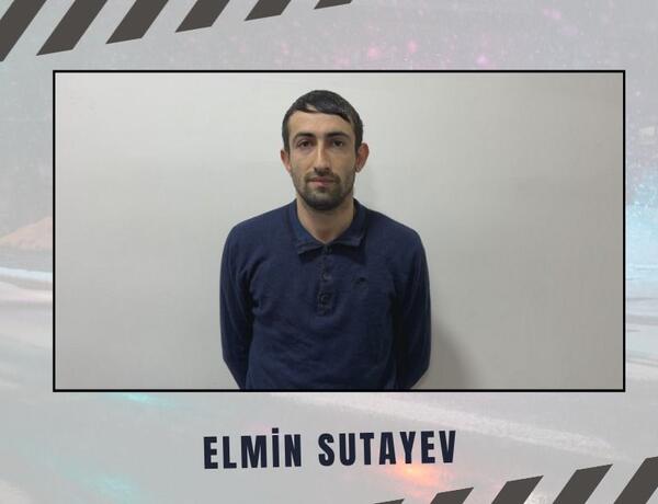Qaxda dələduzluqla vətəndaşların mal-qarasını ələ keçirən şəxs həbs olundu