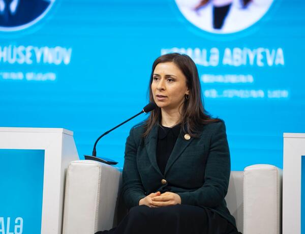 Ali Məhkəmənin kollegiya sədri: “Kommersiya məhkəmələrinə müraciətlərin sayı artıb”