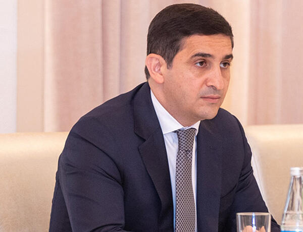 Fərid Əhmədov: Dövlət pul tələbləri ilə bağlı icra sənədlərinin icrasını bazara ötürəcək