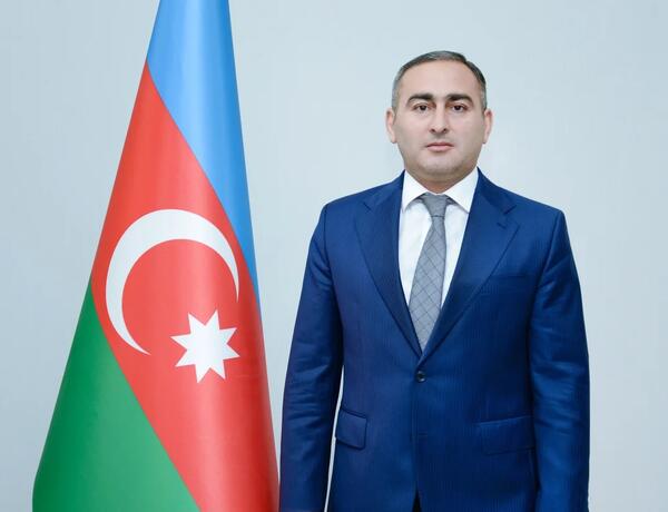 Prezident onu sədr müavini təyin etdi –