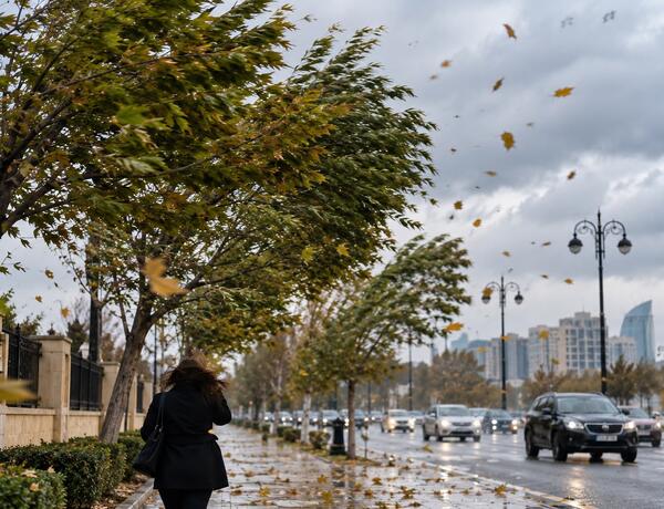Sabah güclü külək əsəcək –