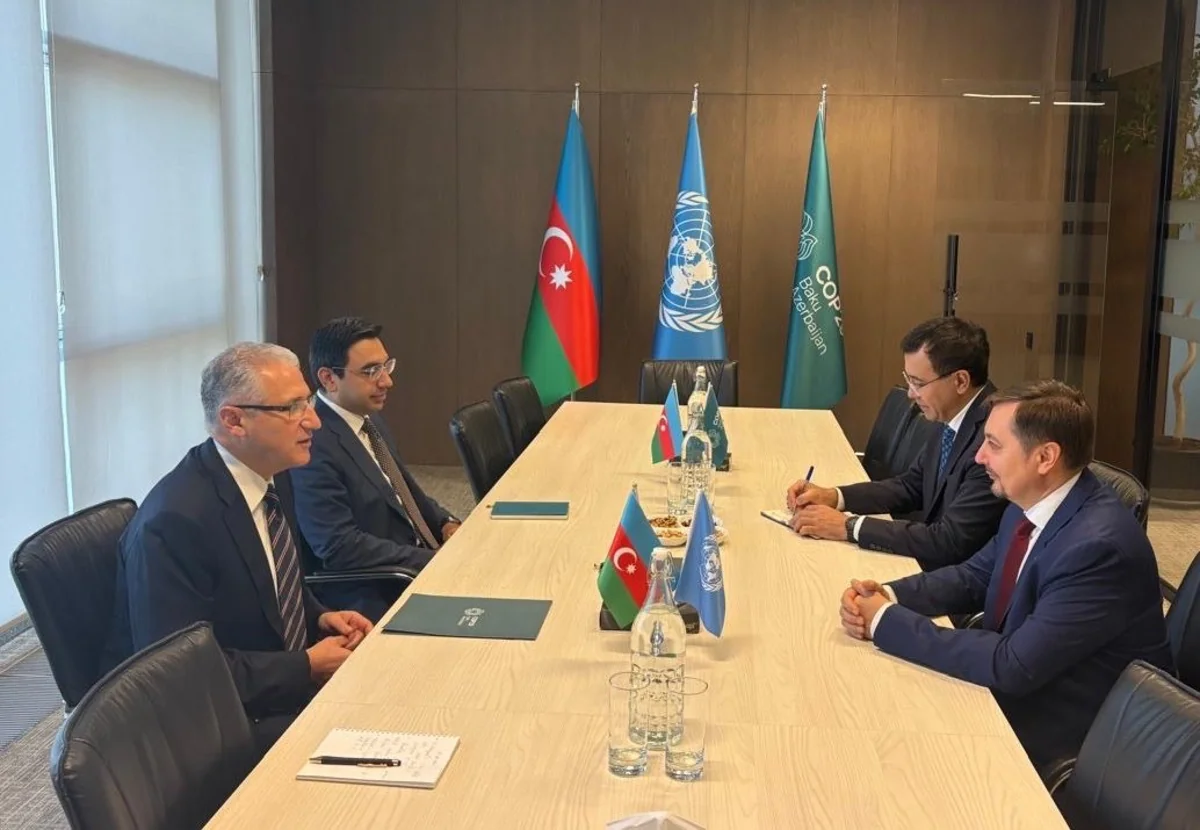 Azərbaycanla BMT Xəzərdə suyun səviyyəsinin azalmasını müzakirə etdi
