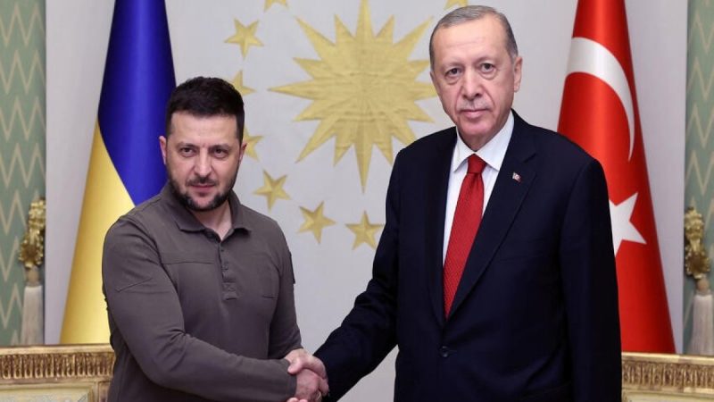 Ərdoğan Zelenskini qəbul etdi